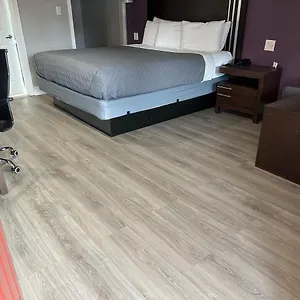 Motel Muir